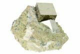 Natural Pyrite Cube In Rock - Navajun, Spain #152295-1